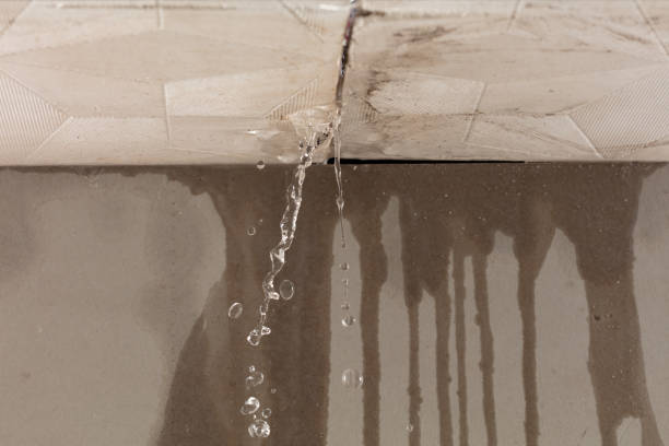 Professional Structural Drying technician working in Winnsboro, TX
